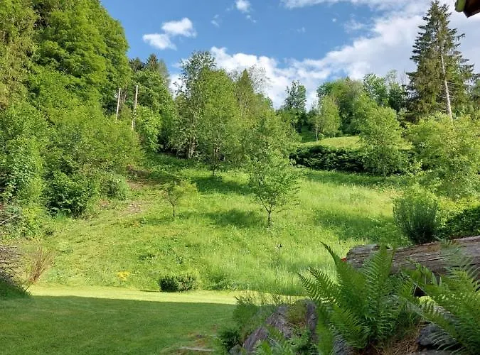 度假居 彼得度假屋 滨湖采尔