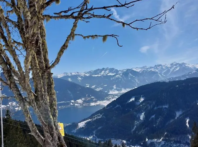 彼得度假屋 度假居